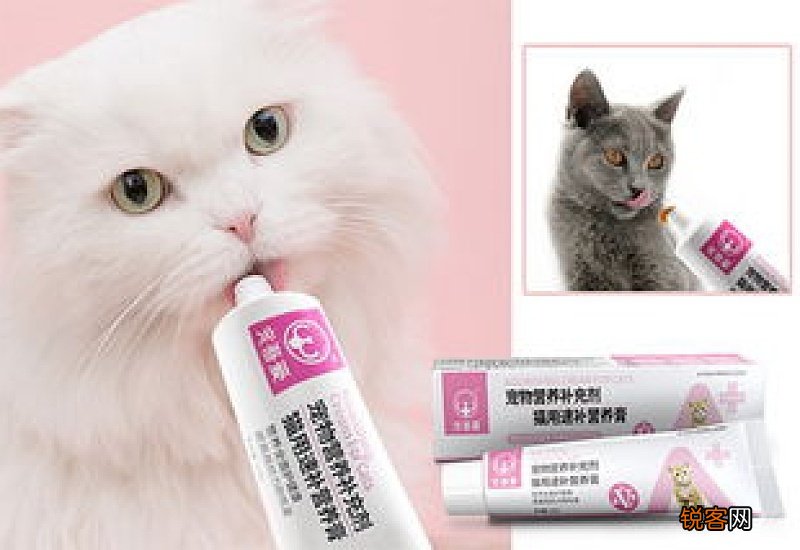 满月的小猫可以吃猫粮吗?