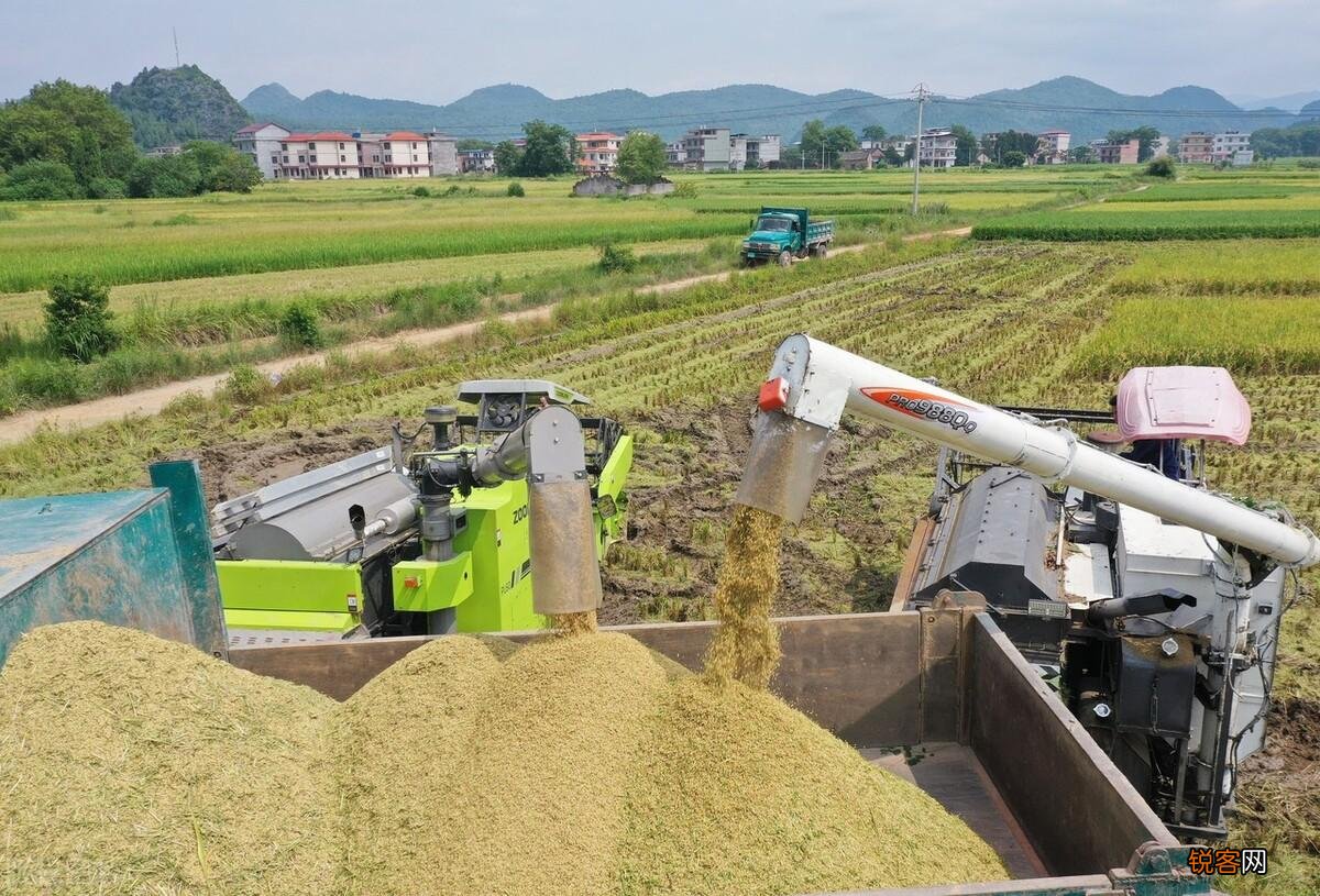 2022年三伏天有多少天 三伏天要注意什么