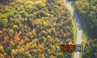 森林防火的意义 森林防火有什么好处