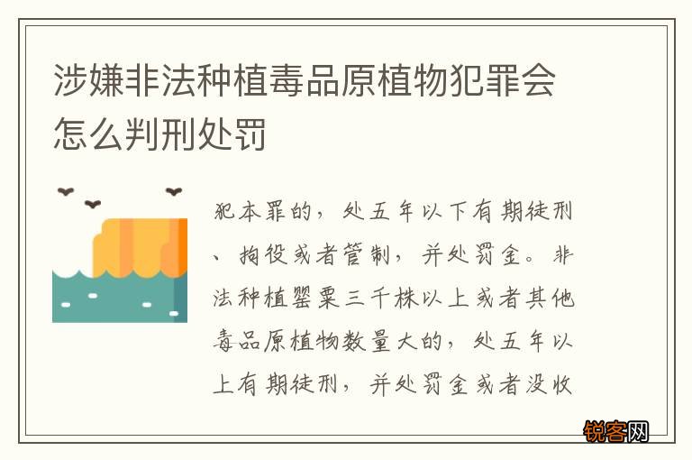涉嫌非法种植毒品原植物犯罪会怎么判刑处罚