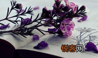 五年级劳动感悟怎么写 五年级劳动感悟作文