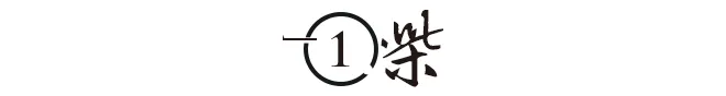 全球最胖的女人 体重高达1450斤