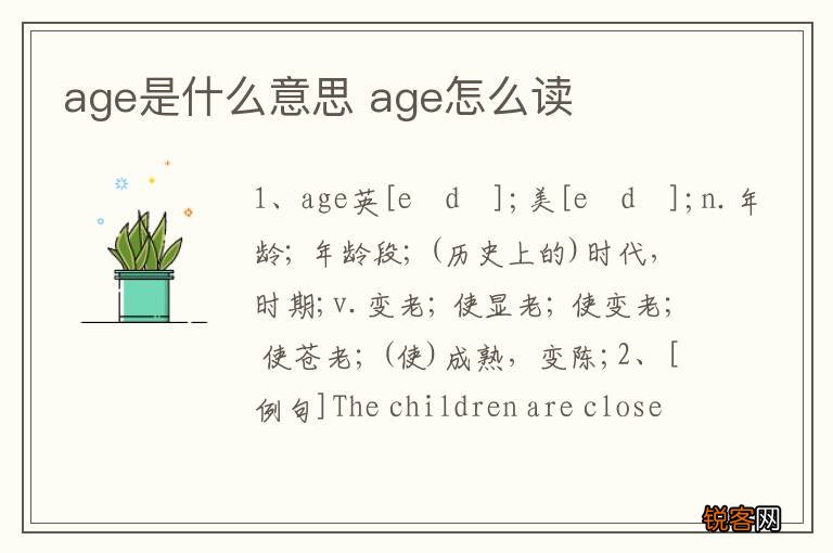 age是什么意思 age怎么读