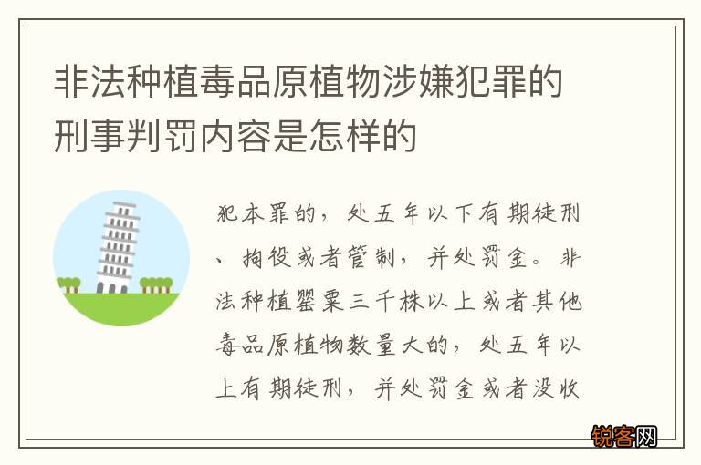 非法种植毒品原植物涉嫌犯罪的刑事判罚内容是怎样的