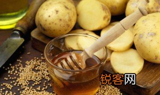 蜂蜜英语怎么读怎么写 蜂蜜英语怎么读