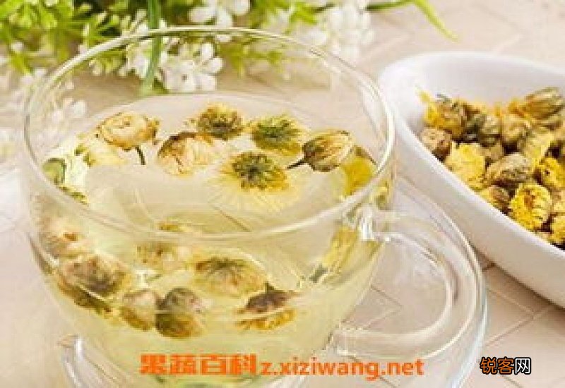 荷叶菊花茶的功效与作用 荷叶菊花茶的食用方式和注意事项