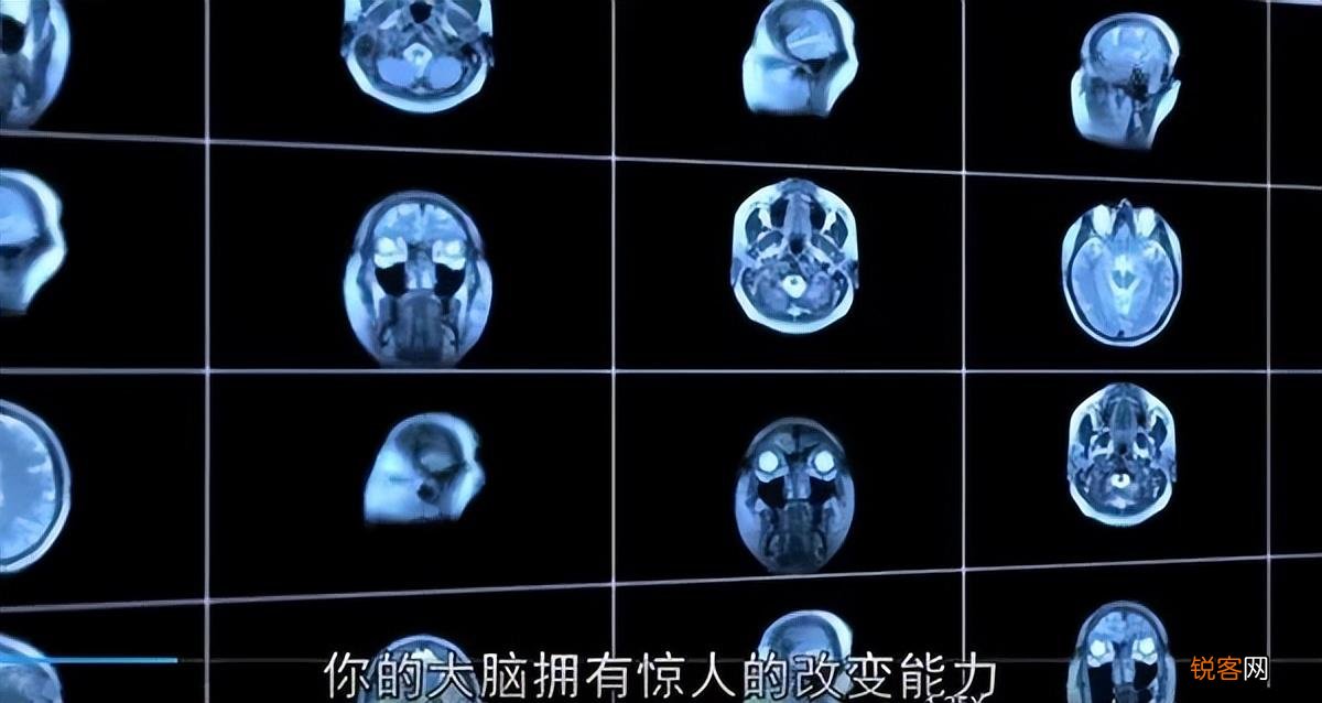 提高逻辑思维的纪录片 让孩子学会动脑思考