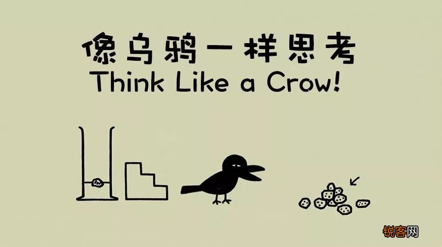 提高逻辑思维的纪录片 让孩子学会动脑思考
