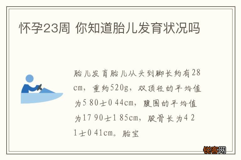 怀孕23周 你知道胎儿发育状况吗