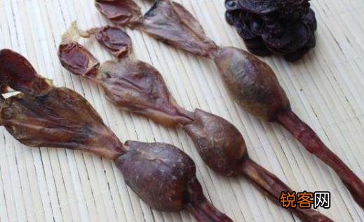 鞭补鞭真"性"福吗? 鞭真的补吗