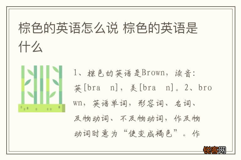棕色的英语怎么说 棕色的英语是什么
