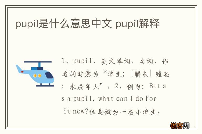 pupil是什么意思中文 pupil解释