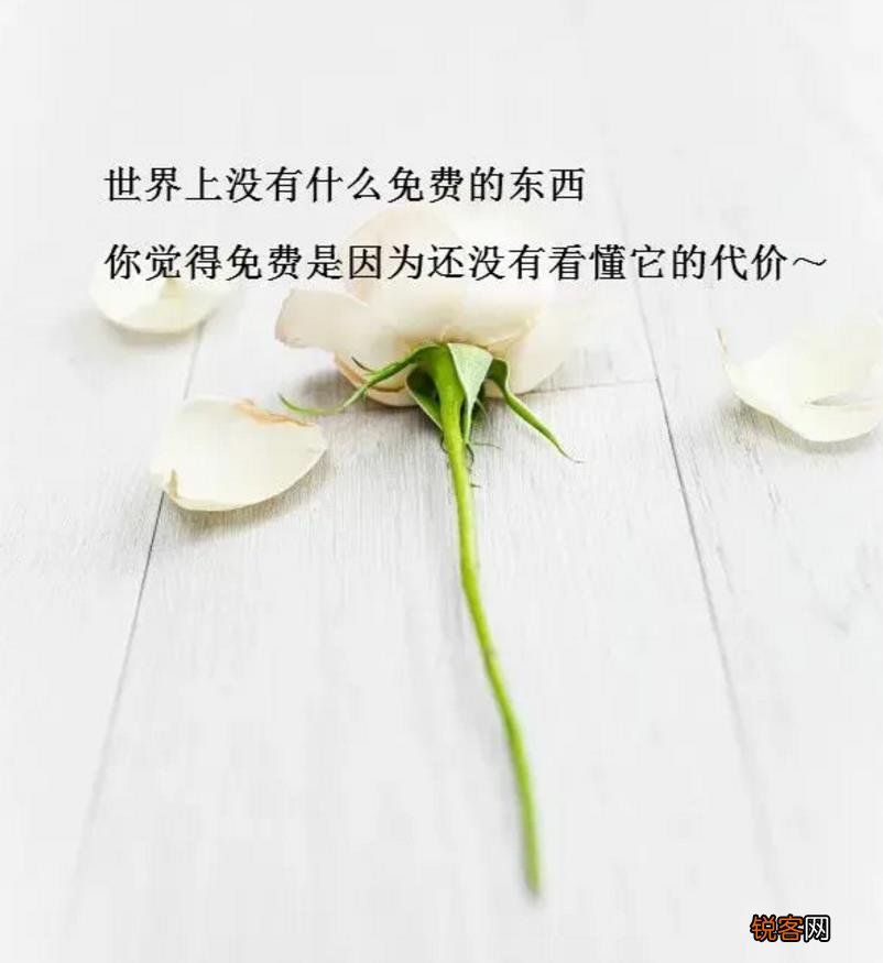 适合所有情绪的句子 适合发朋友圈的精美心情短句