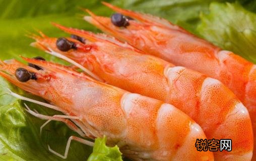 虾肉药用价值高 如何与食物搭配治疗男性肾虚
