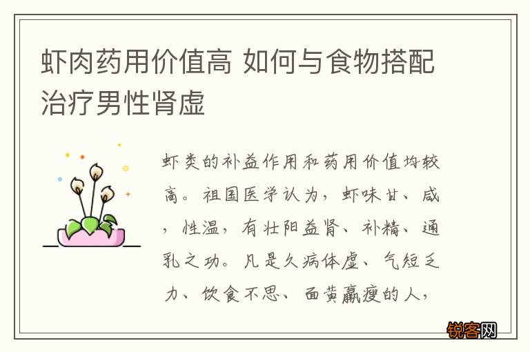 虾肉药用价值高 如何与食物搭配治疗男性肾虚