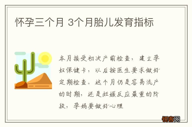怀孕三个月 3个月胎儿发育指标