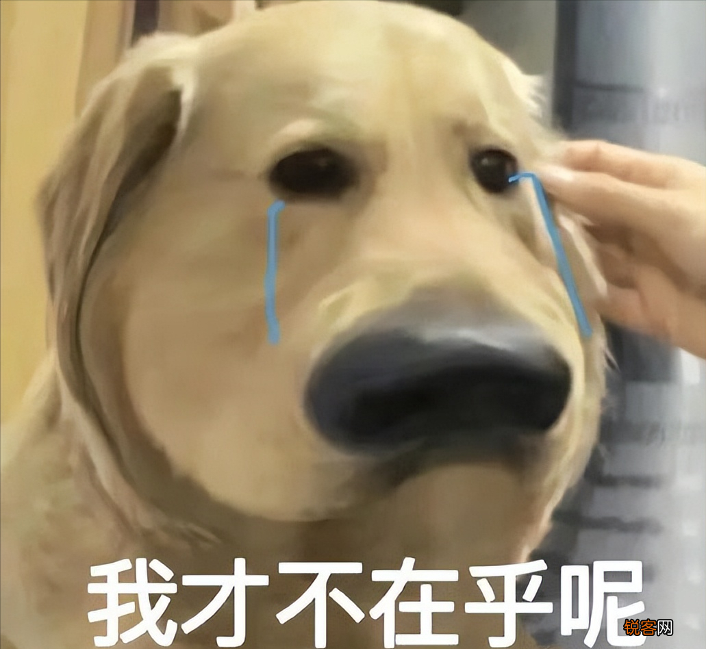 冤种是什么意思网络用语 “冤种”是什么梗