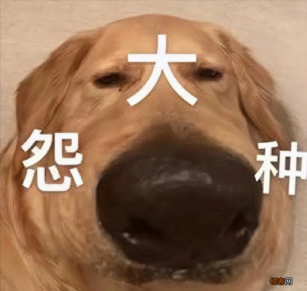 冤种是什么意思网络用语 “冤种”是什么梗