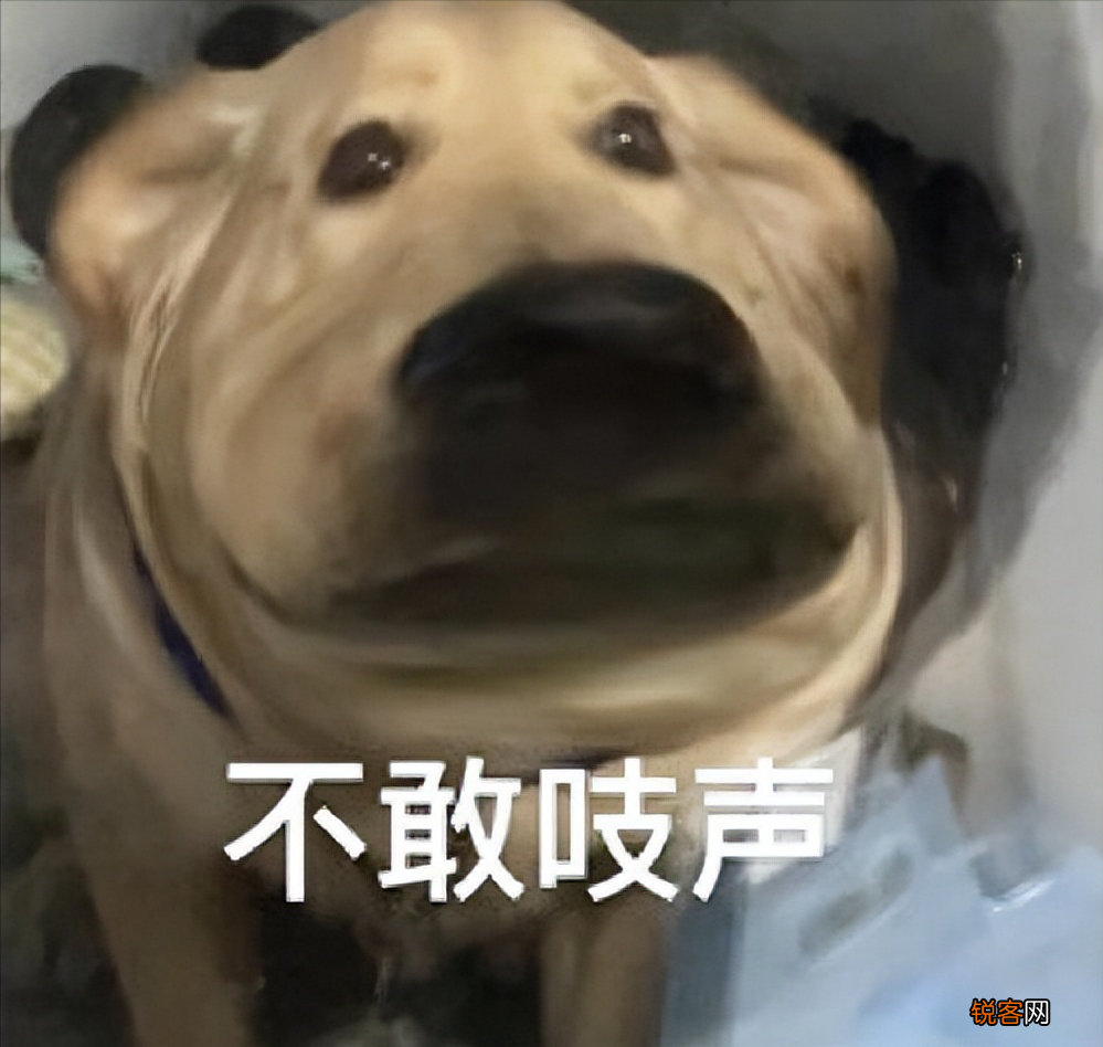 冤种是什么意思网络用语 “冤种”是什么梗