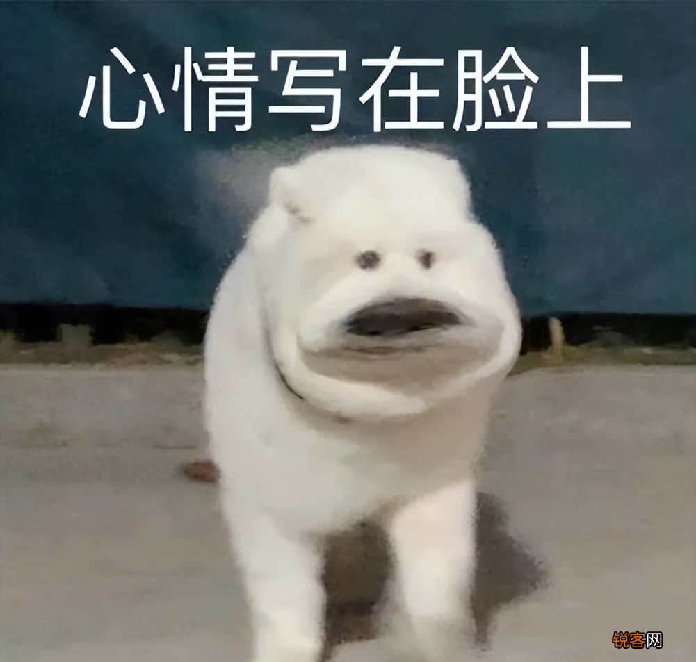 冤种是什么意思网络用语 “冤种”是什么梗
