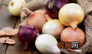 洋葱用英语怎么说 有关洋葱的英文