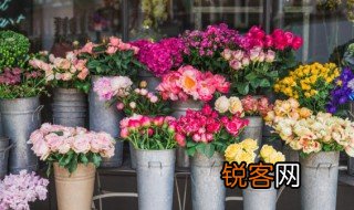 花朝节的风俗 花朝节有哪些风俗