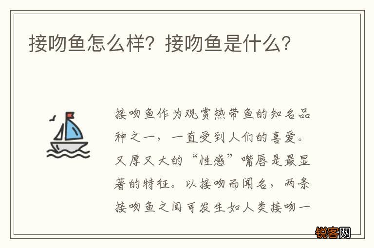 接吻鱼怎么样？接吻鱼是什么？