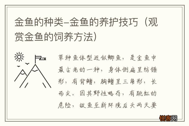观赏金鱼的饲养方法 金鱼的种类-金鱼的养护技巧