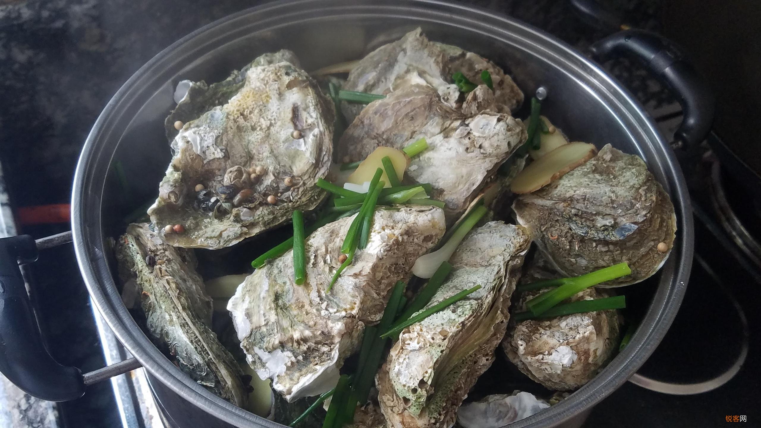 生蚝的简单做法步骤 营养美味又好吃