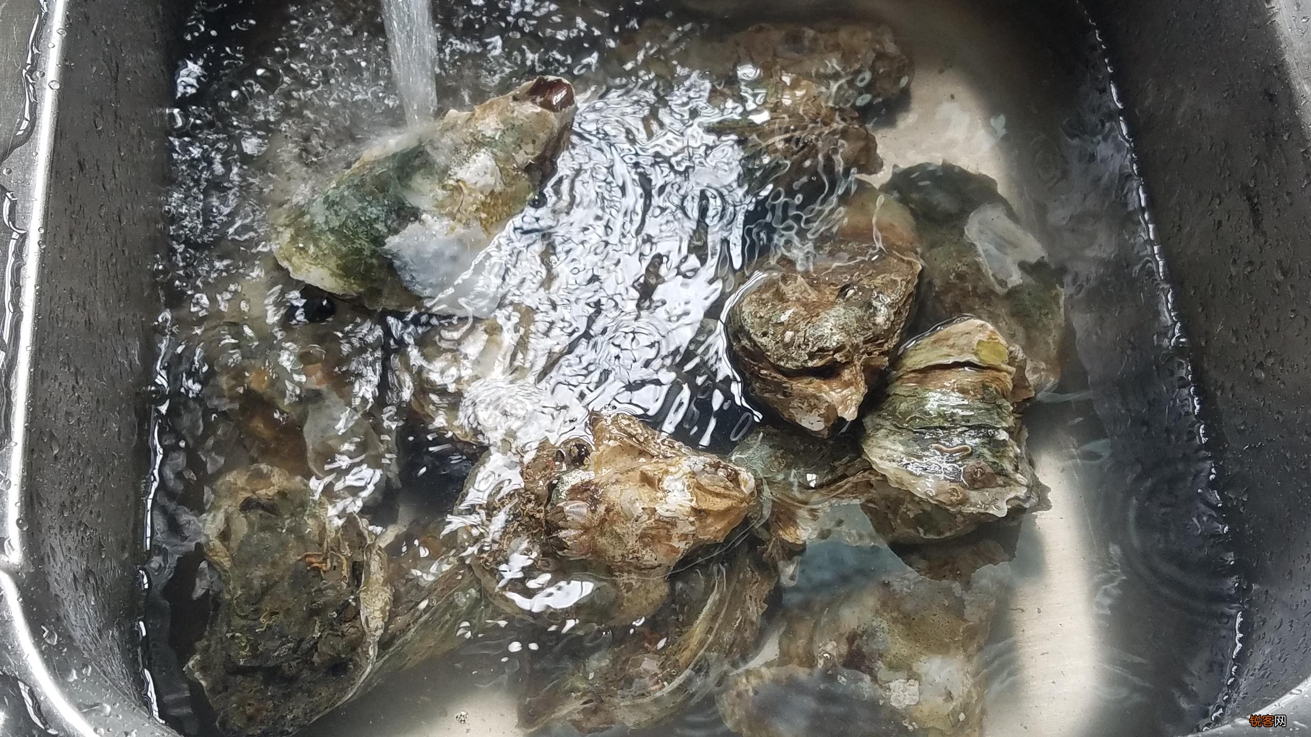生蚝的简单做法步骤 营养美味又好吃