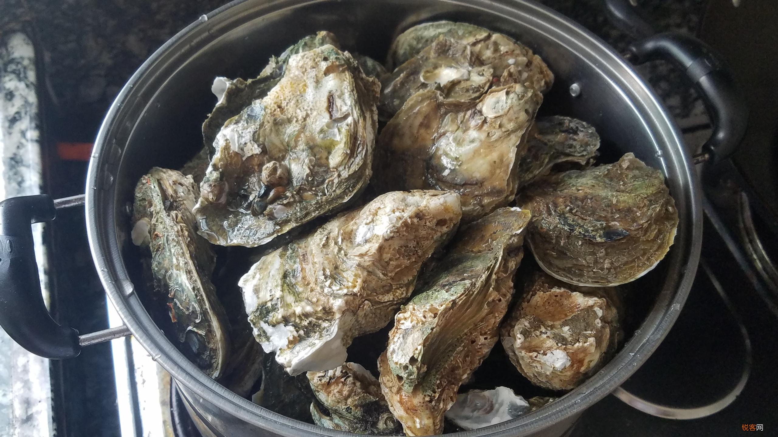 生蚝的简单做法步骤 营养美味又好吃