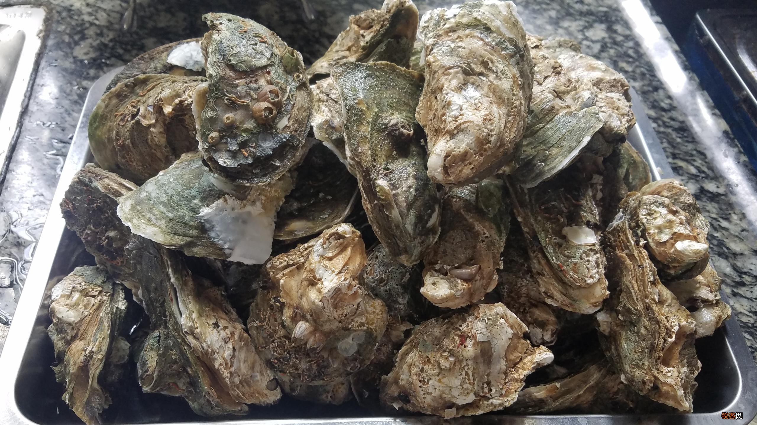 生蚝的简单做法步骤 营养美味又好吃