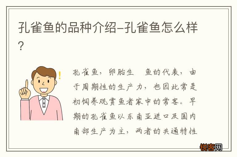 孔雀鱼的品种介绍-孔雀鱼怎么样？