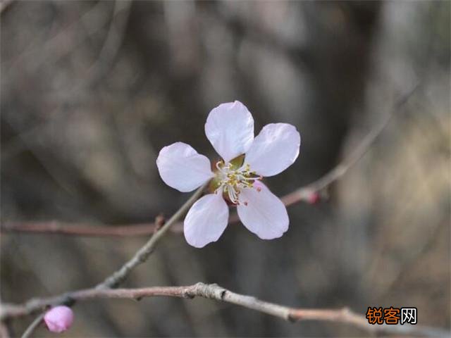 母亲对儿子生日祝福语 写给儿子的温馨祝福语