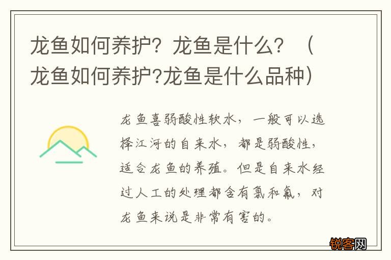 龙鱼如何养护?龙鱼是什么品种 龙鱼如何养护？龙鱼是什么？