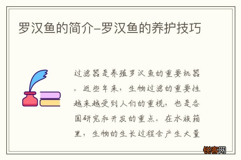 罗汉鱼的简介-罗汉鱼的养护技巧