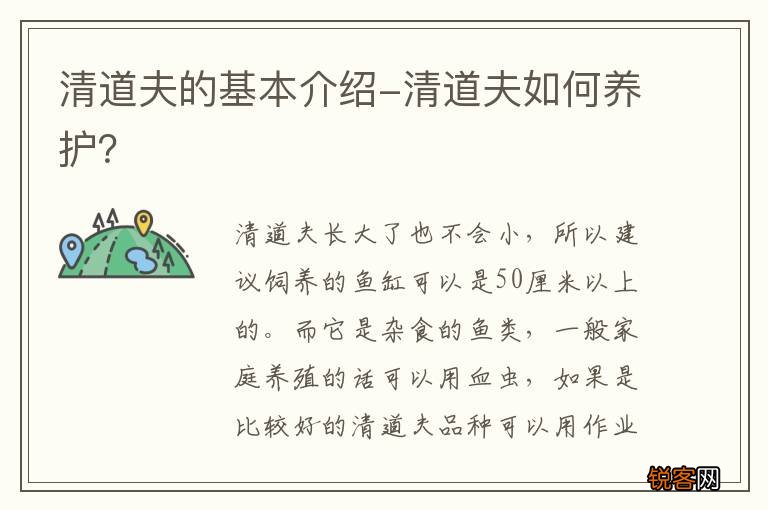 清道夫的基本介绍-清道夫如何养护？