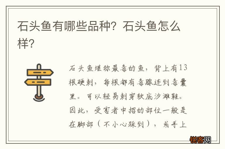 石头鱼有哪些品种？石头鱼怎么样？