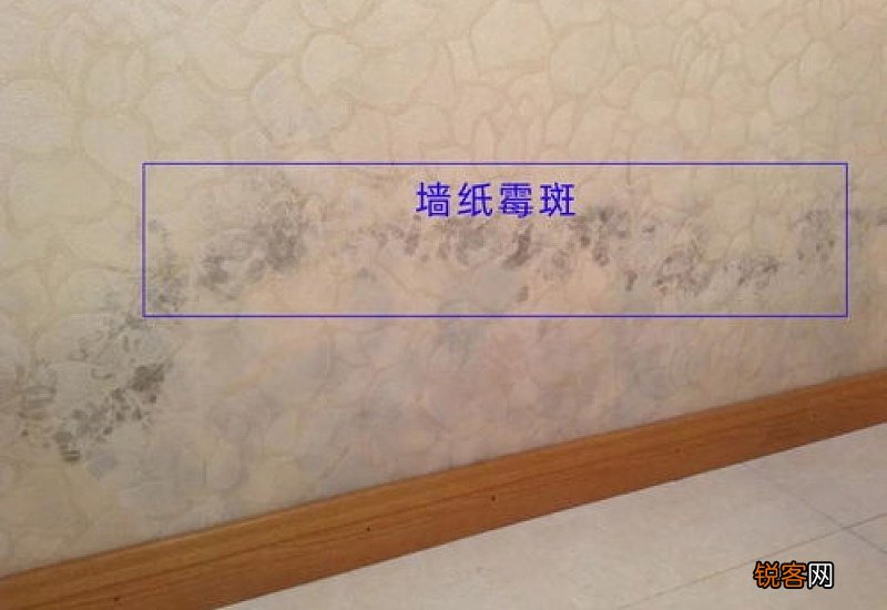 怎么让墙面防潮