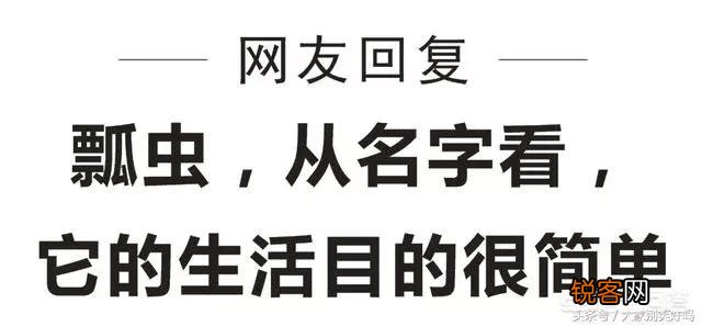 你喜欢的神回复有哪些？