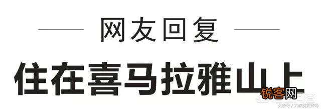你喜欢的神回复有哪些？