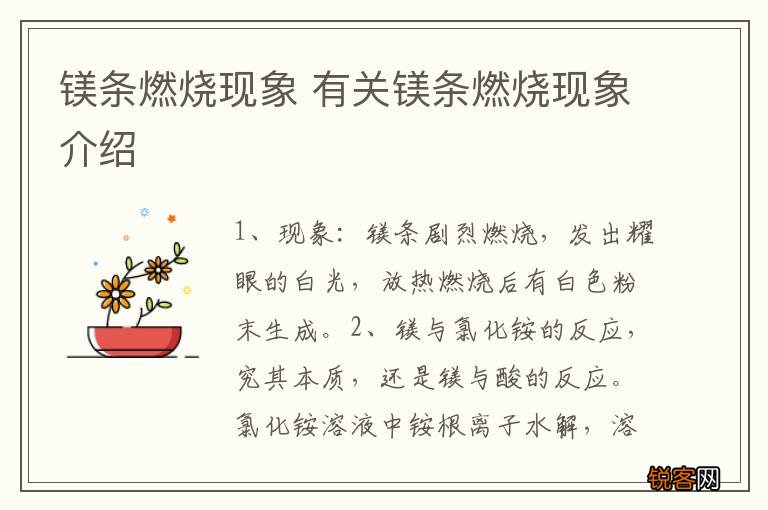 镁条燃烧现象 有关镁条燃烧现象介绍