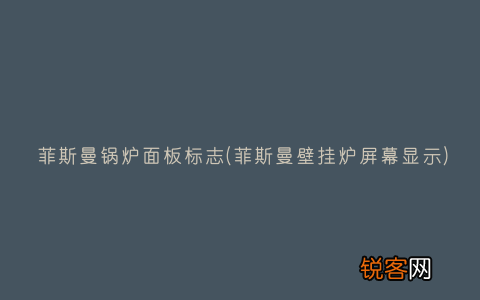 菲斯曼壁挂炉屏幕显示 菲斯曼锅炉面板标志