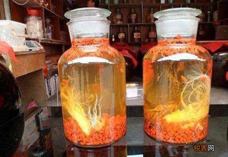 枸杞可以和什么一起泡酒喝 枸杞酒有怎样的作用
