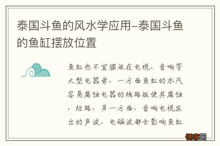 泰国斗鱼的风水学应用-泰国斗鱼的鱼缸摆放位置