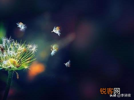 有什么很短的宝藏文案？