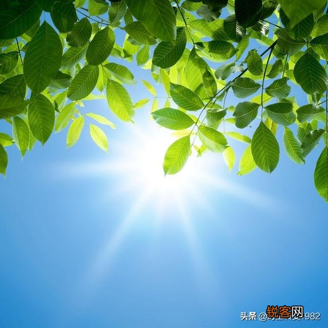 有哪些适合在朋友圈发的文案？表达生活美好的？