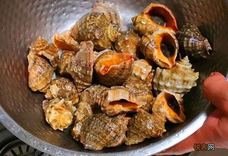 海螺开水蒸还是冷水蒸