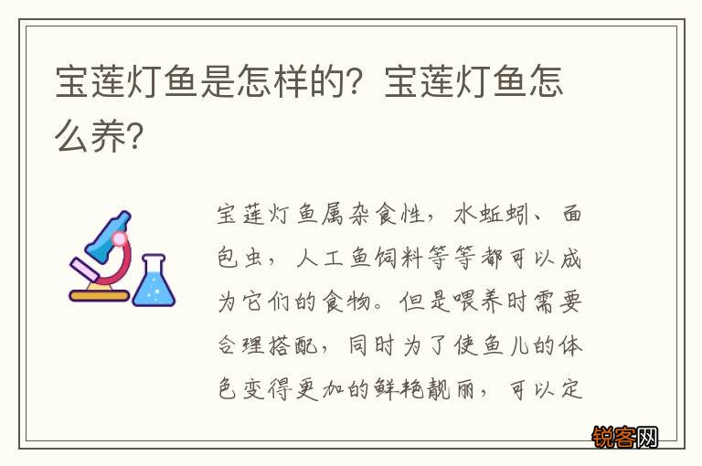 宝莲灯鱼是怎样的？宝莲灯鱼怎么养？