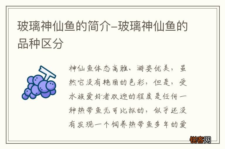 玻璃神仙鱼的简介-玻璃神仙鱼的品种区分